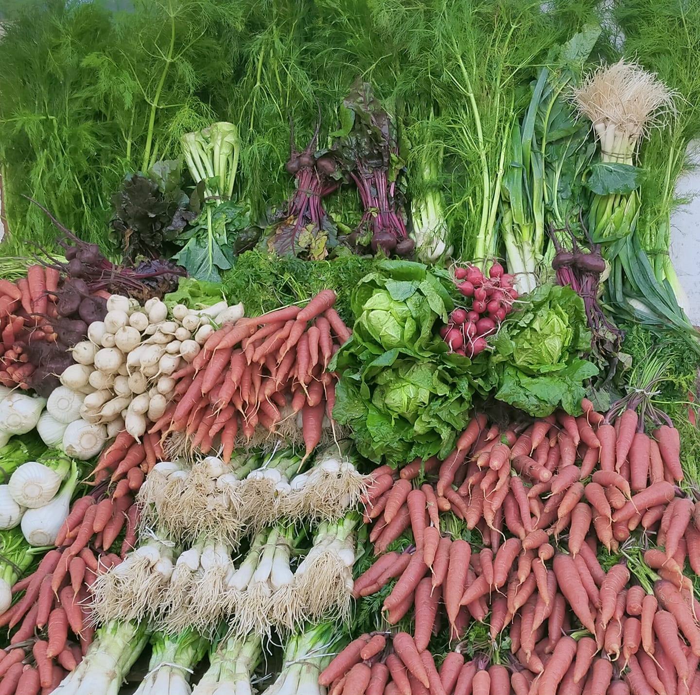 خضر و غلال عند الياس