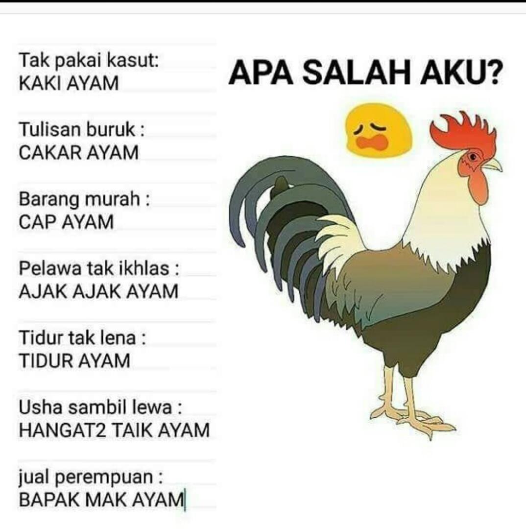 Good Afternoon friends...sedikit sedutan dari perjalanan trip Andaman ...