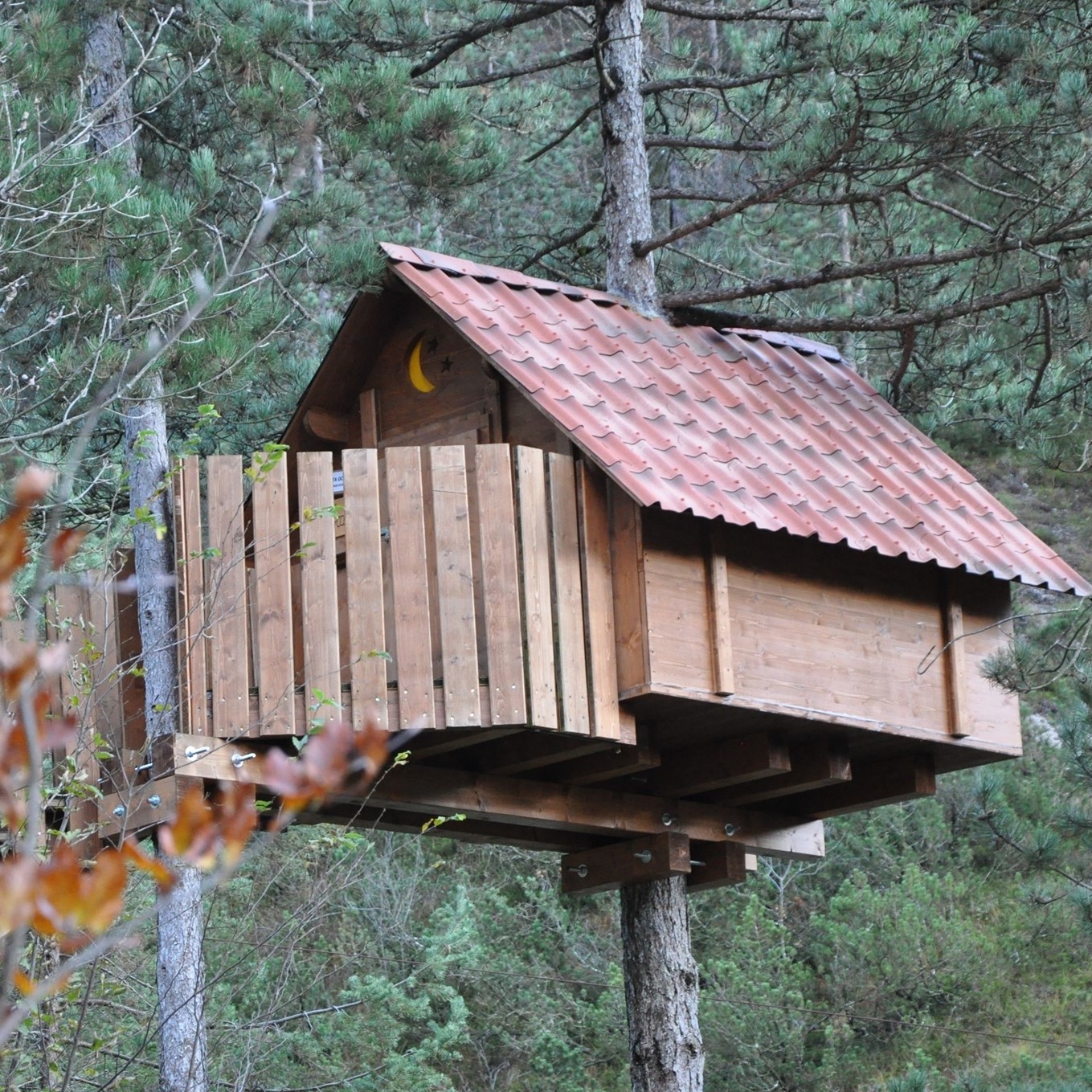 Tree Village | Claut