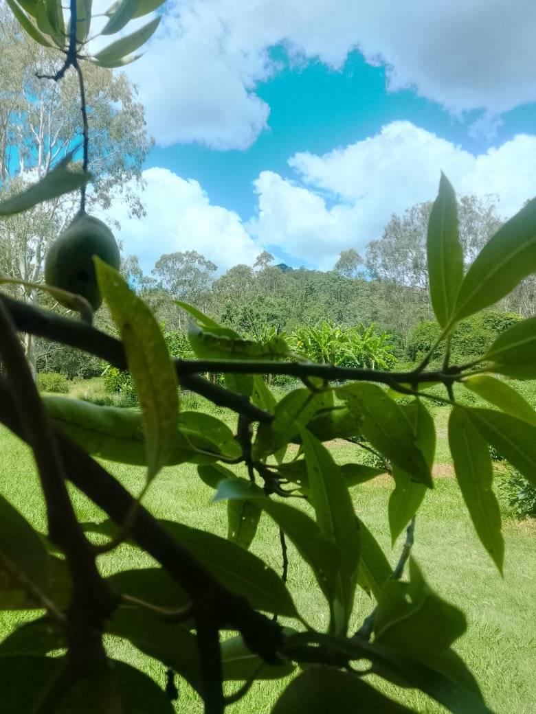 Simple task at the Farm... - Peak Organics at Ivorys Rock | Facebook