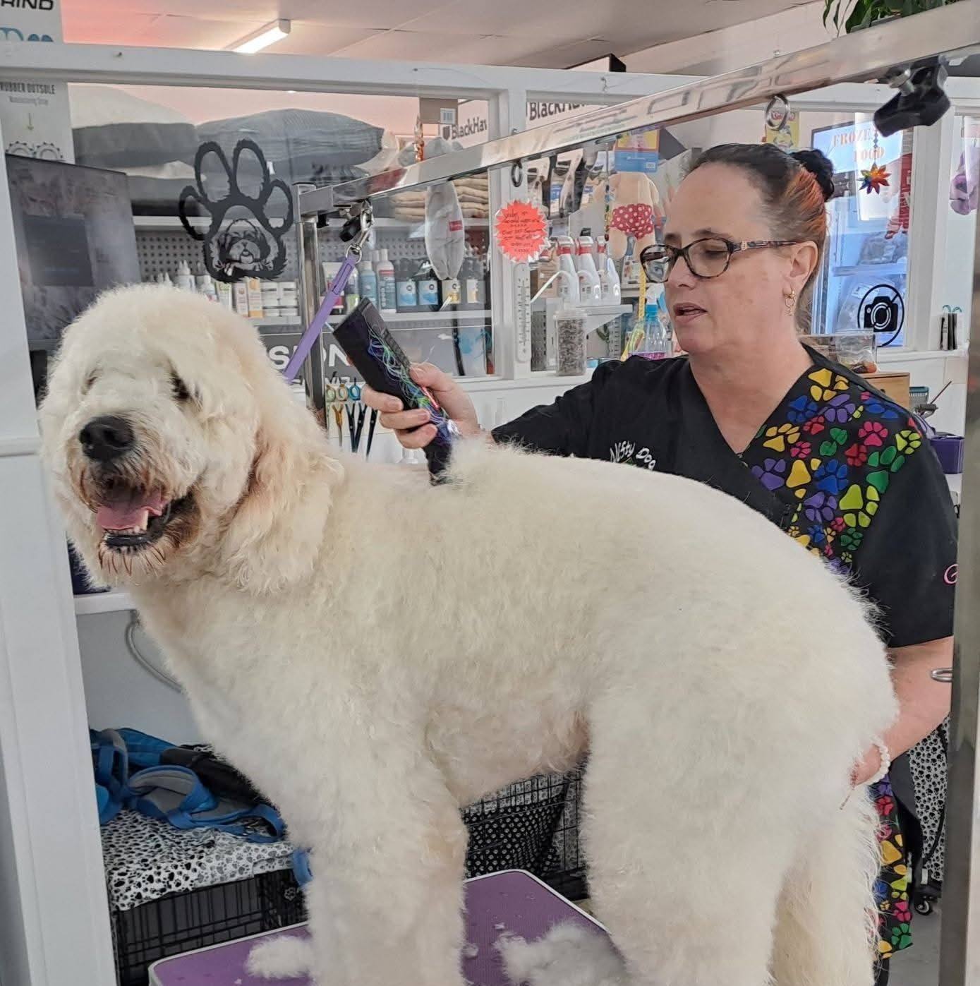Nifty dog grooming | Whangarei