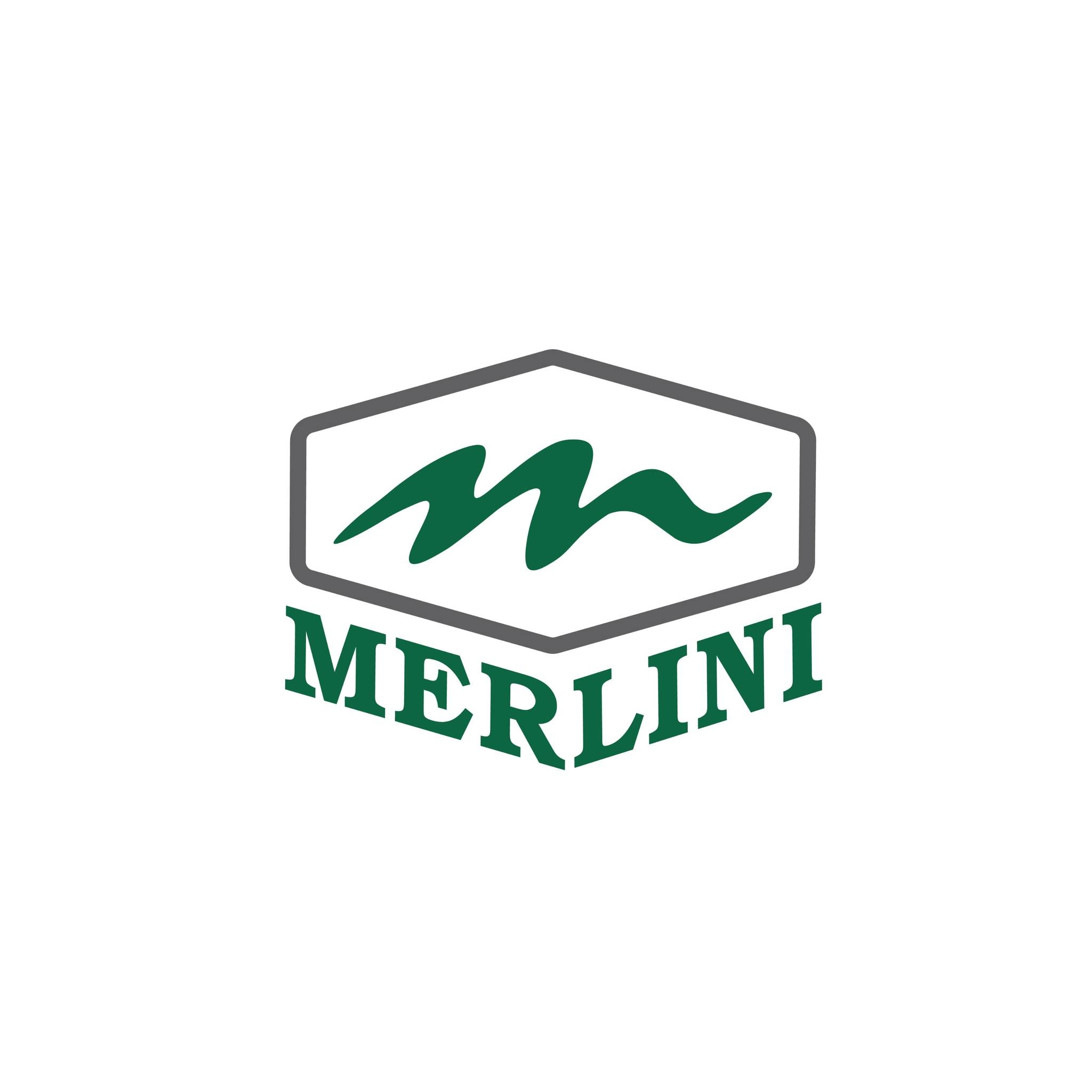 Merlini Engenharia | São Paulo SP