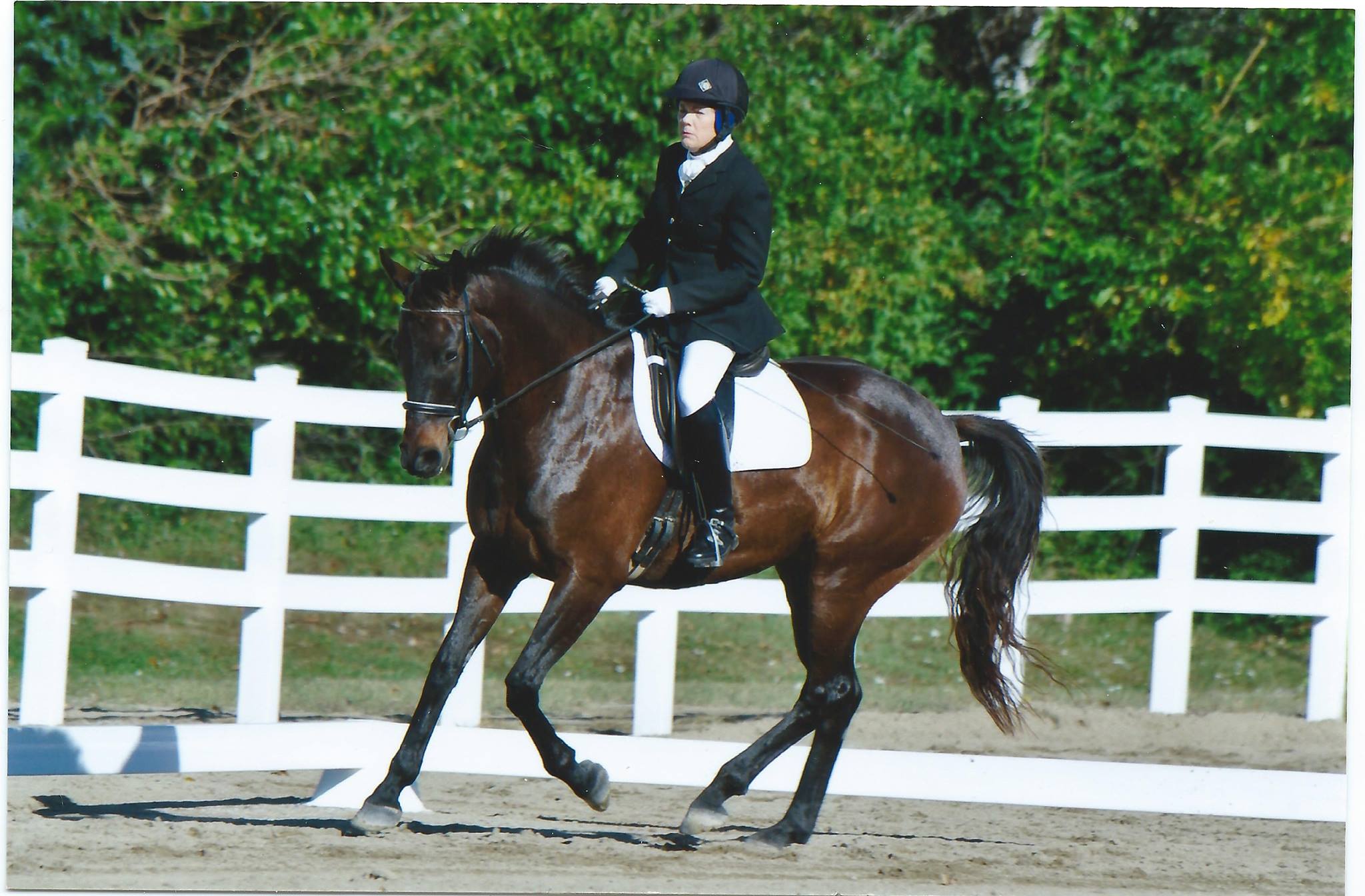 Donna Lewis Riding/Quicksilver Equestrian Dressage and Eventing