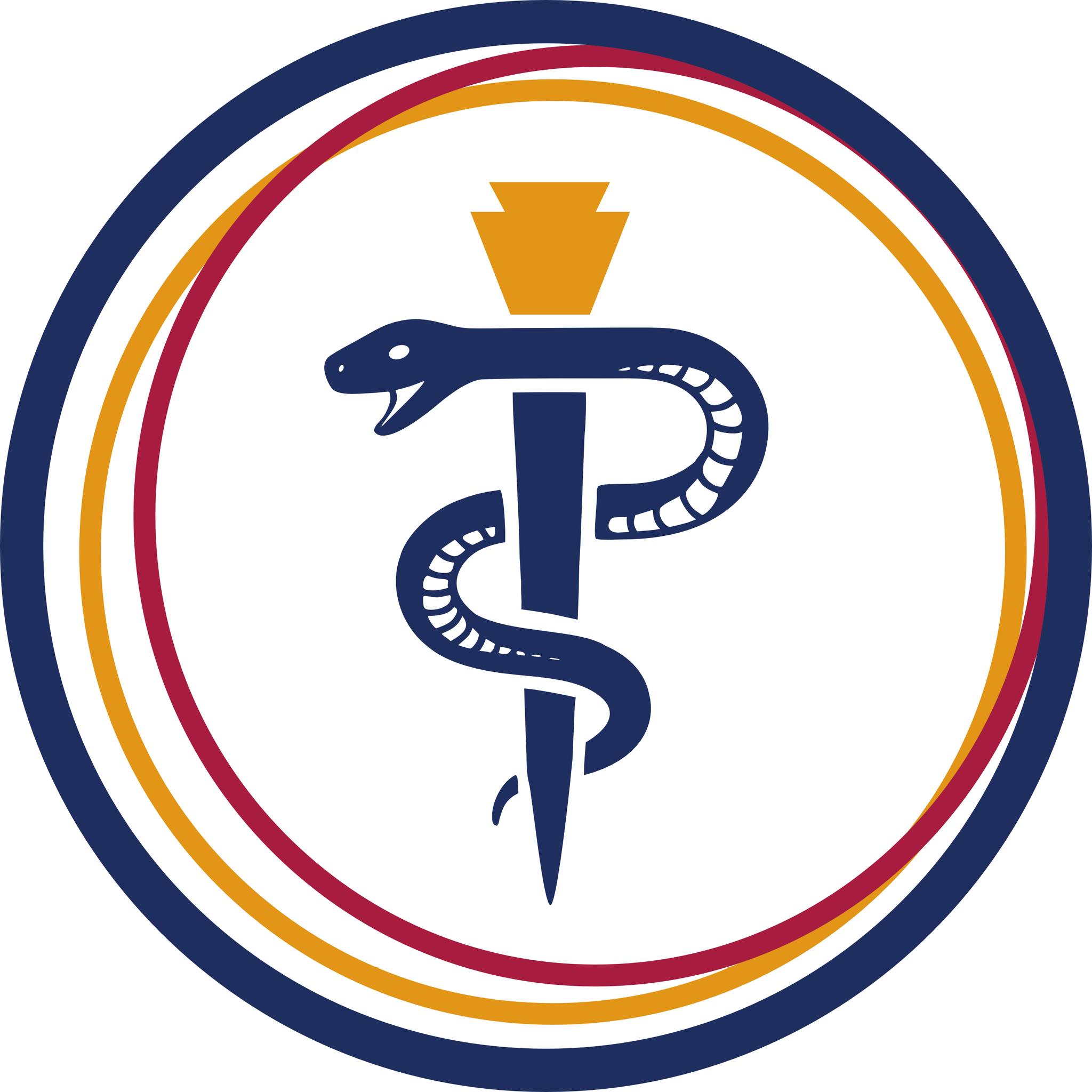 Foundations for Osteopathic Medicine 第二版 contentframe