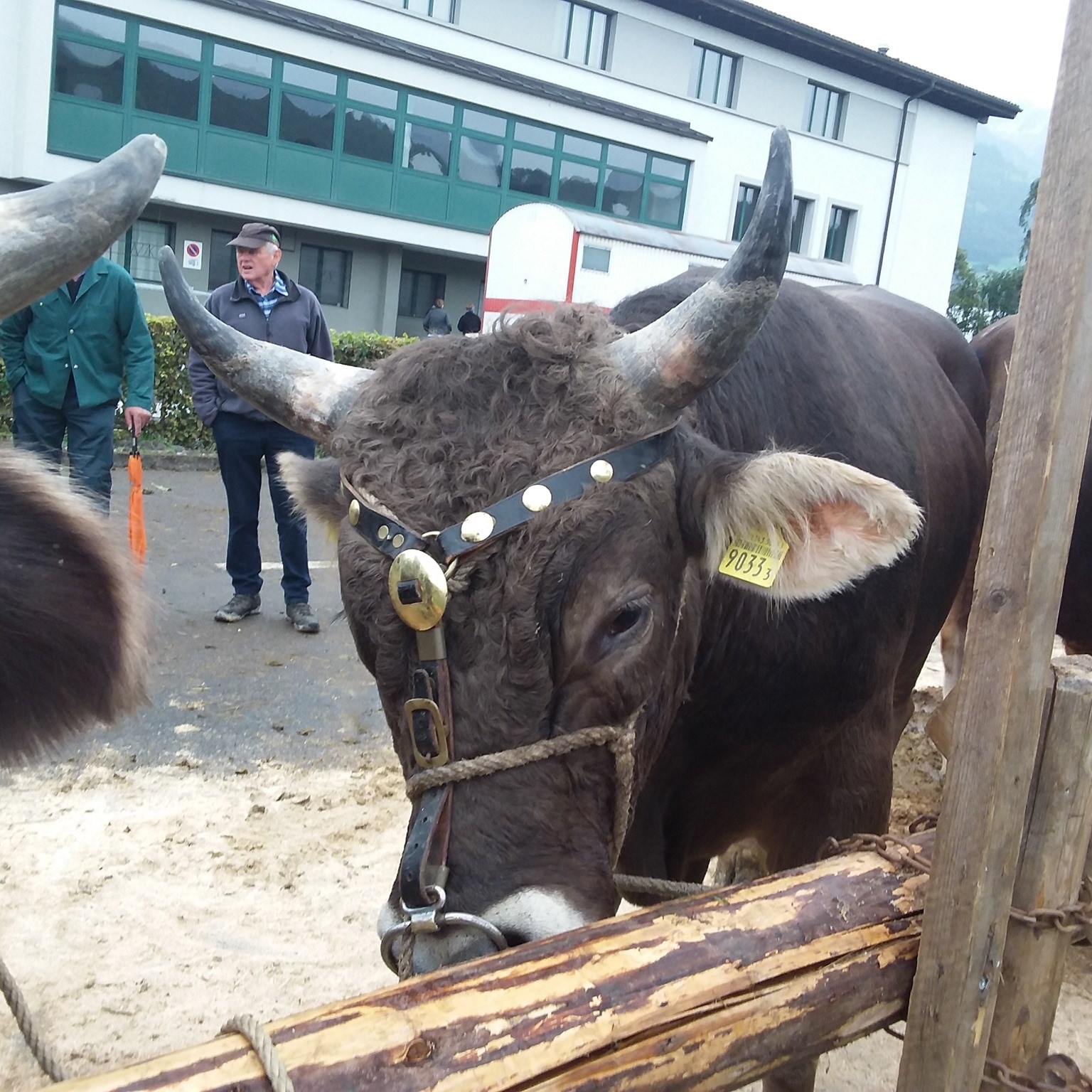 Anzeige: Das Erntedank-Fest auf Bühlers Hof war ein voller Erfolg.🥳 ...