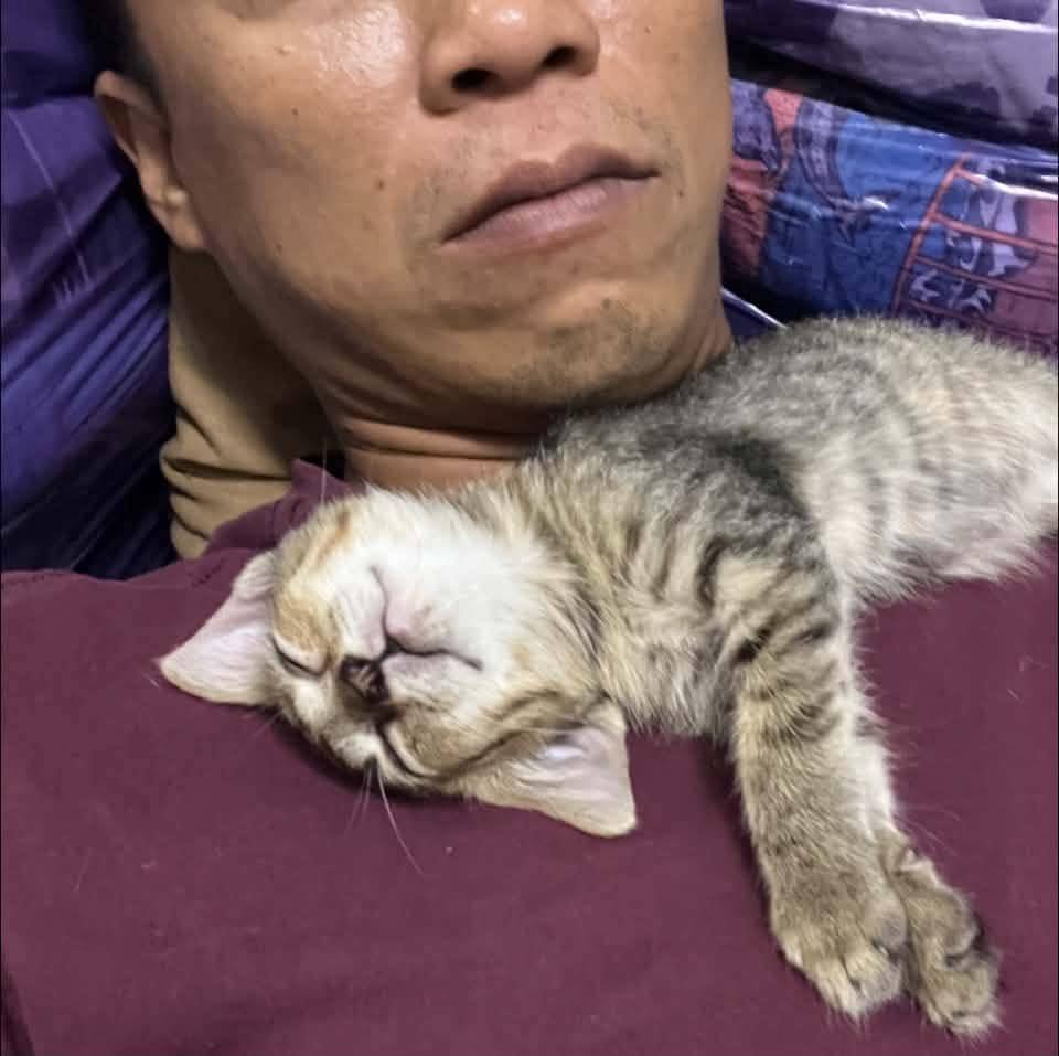 Manapat Mhe Jesdapipat