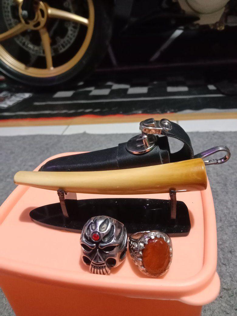 Kolektor Taring Barang Antik Indo ( Indo Antique Fangs Collector ...