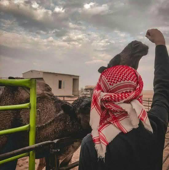 الكهنوتية بين الإخوان والصوفية👇 | عمرو على