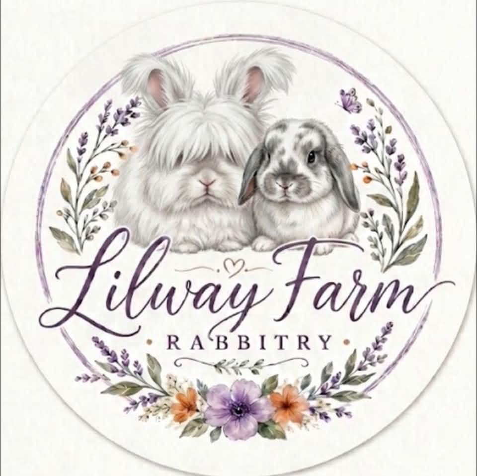 Looking for a small breed male bunny | Facebook