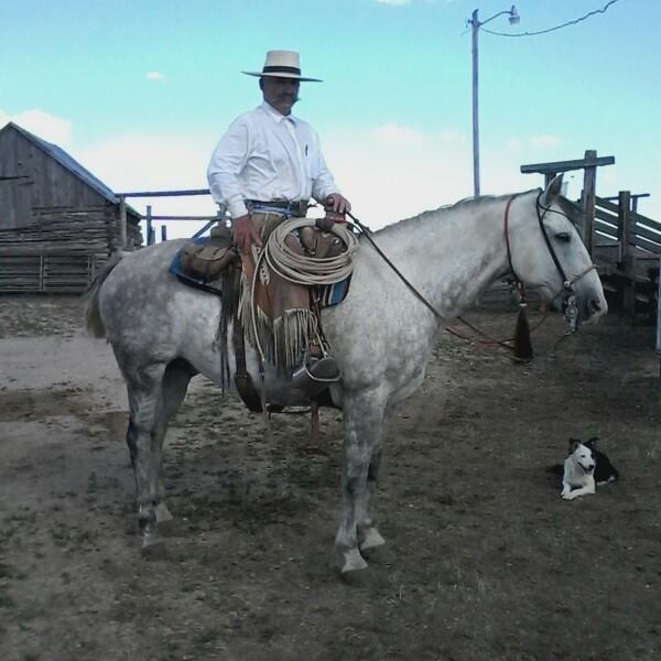Roosters on the fight it was an everyday deal for my dad #fyp # ...