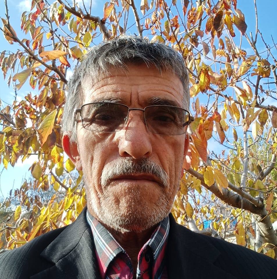 Ceviz soyumu yapılır tln 0536 709 7676 | Mustafa Karul