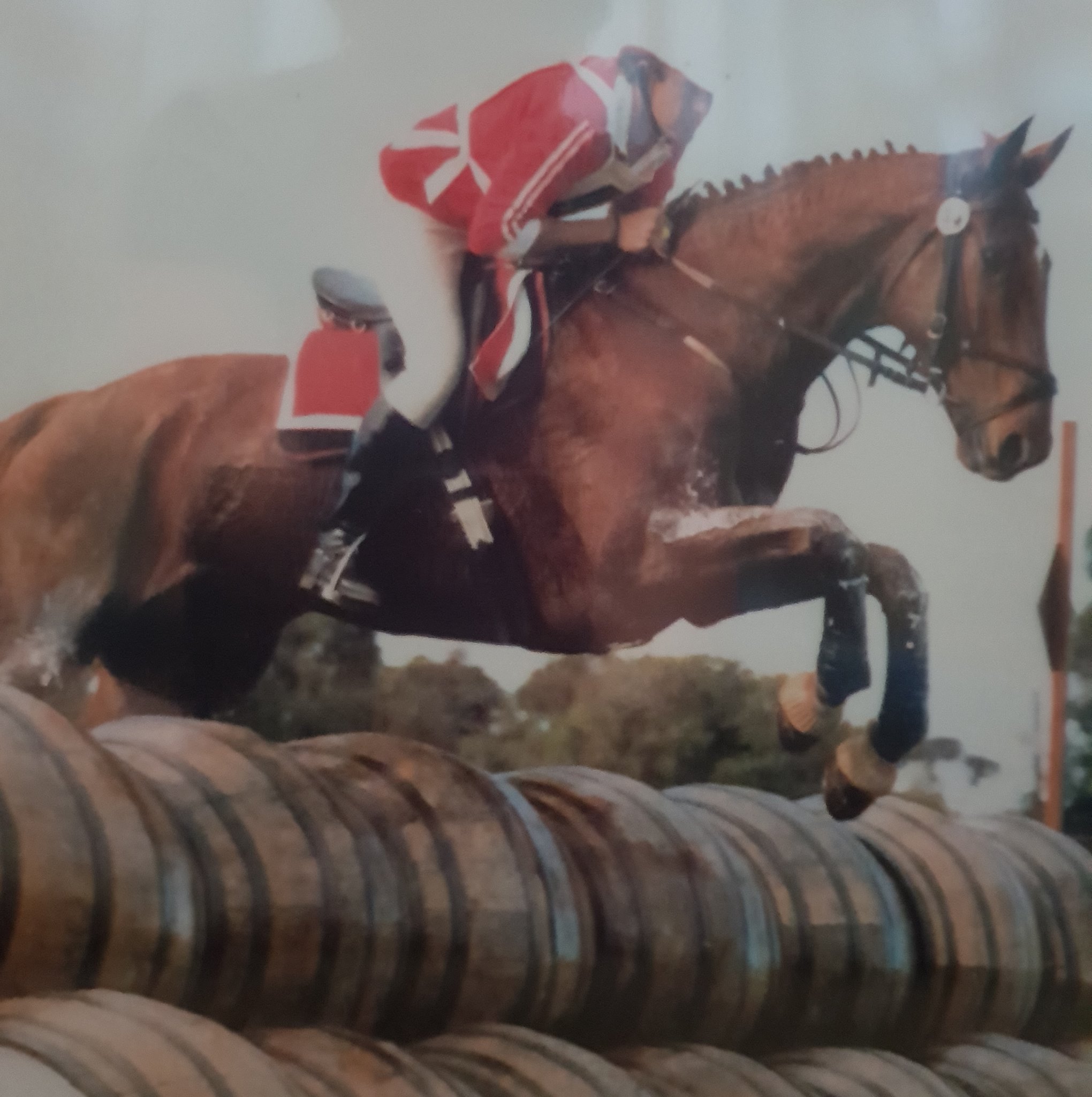 Trinity - Giddy up! Have you registered for the Gymkhana on Friday ...