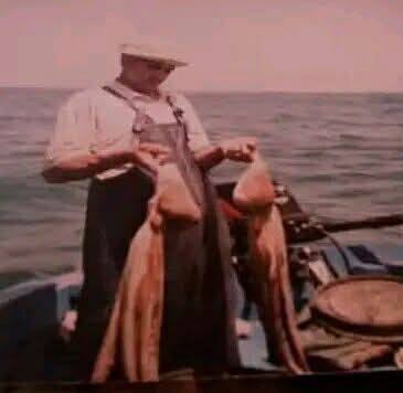 Nourdine Mgouni on Reels