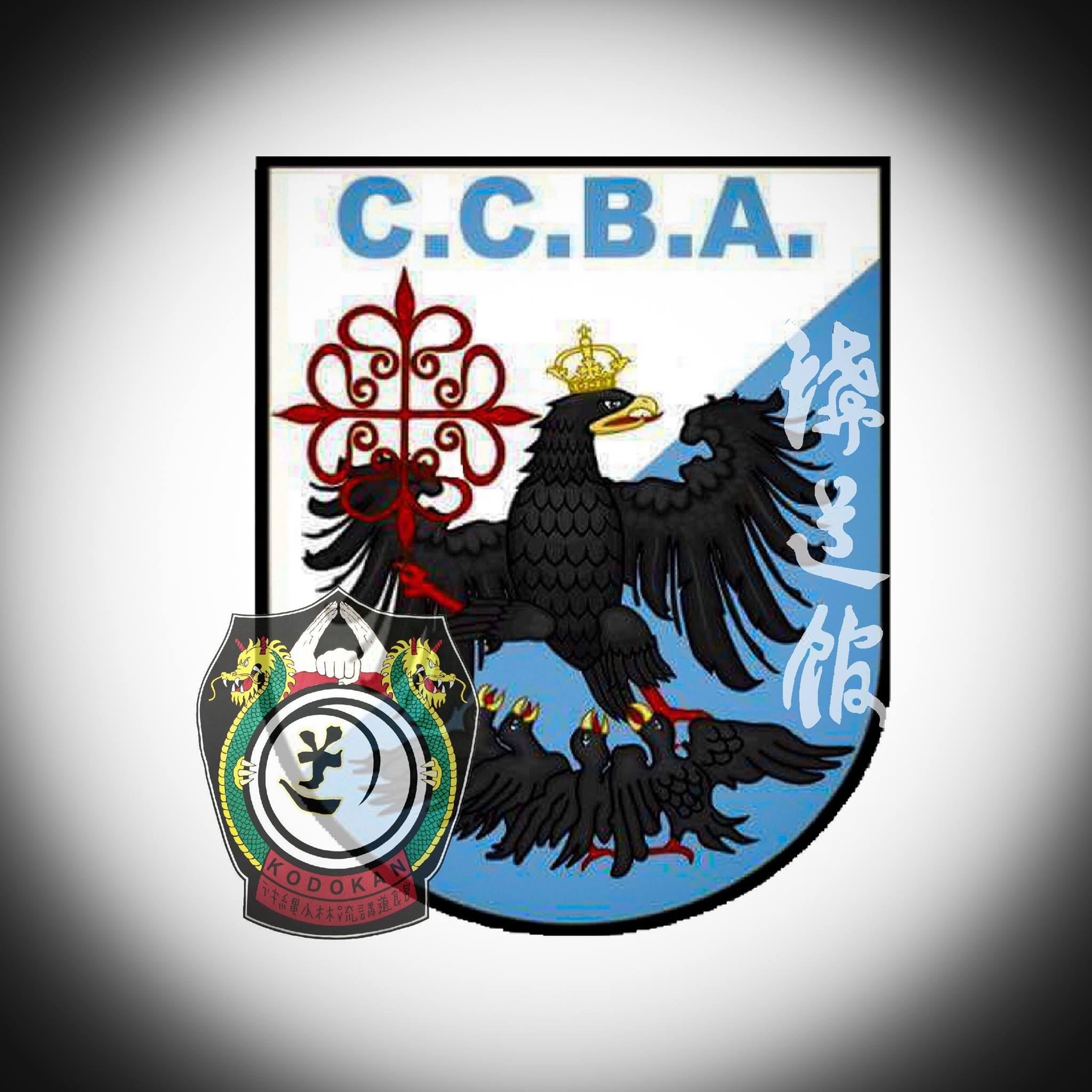 Karate Do CCBA | Buenos Aires