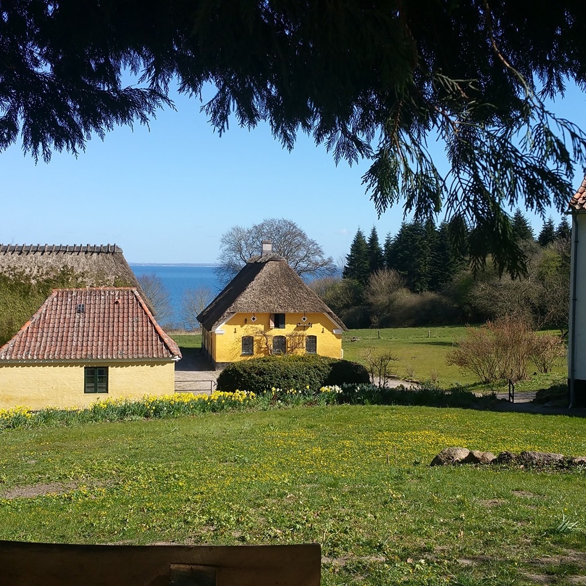 Nygård i Nørreskoven - Als | Nordborg