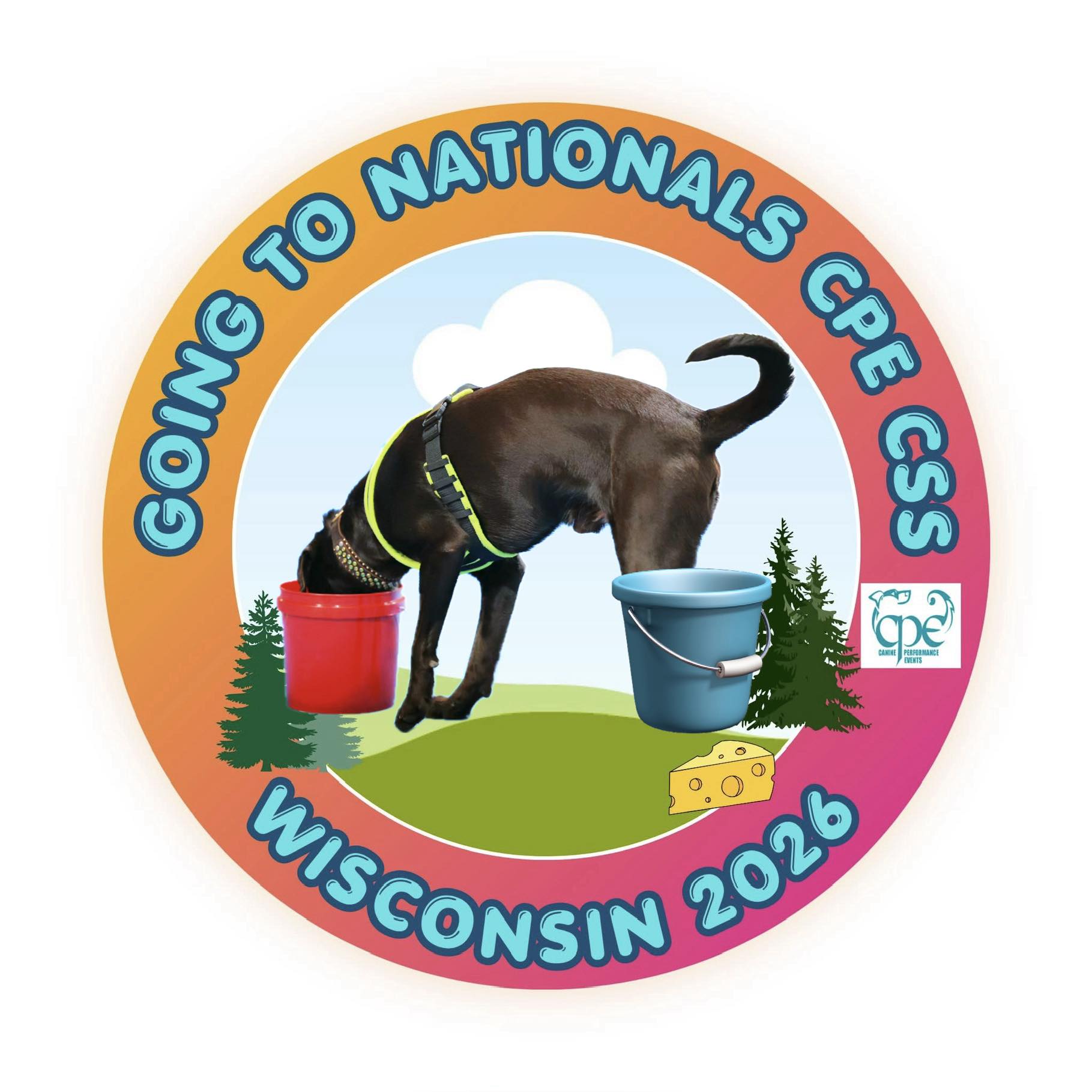 2026 CPE CSS Nationals | Just out of curiosity, what level(s) do you ...