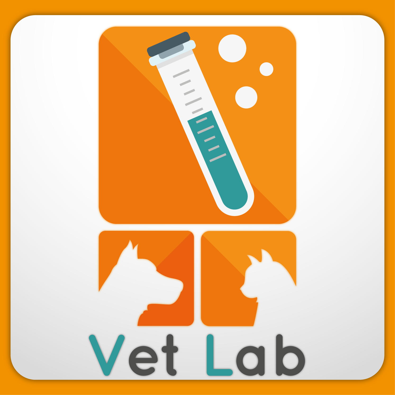 Vet Lab Diagnósticos