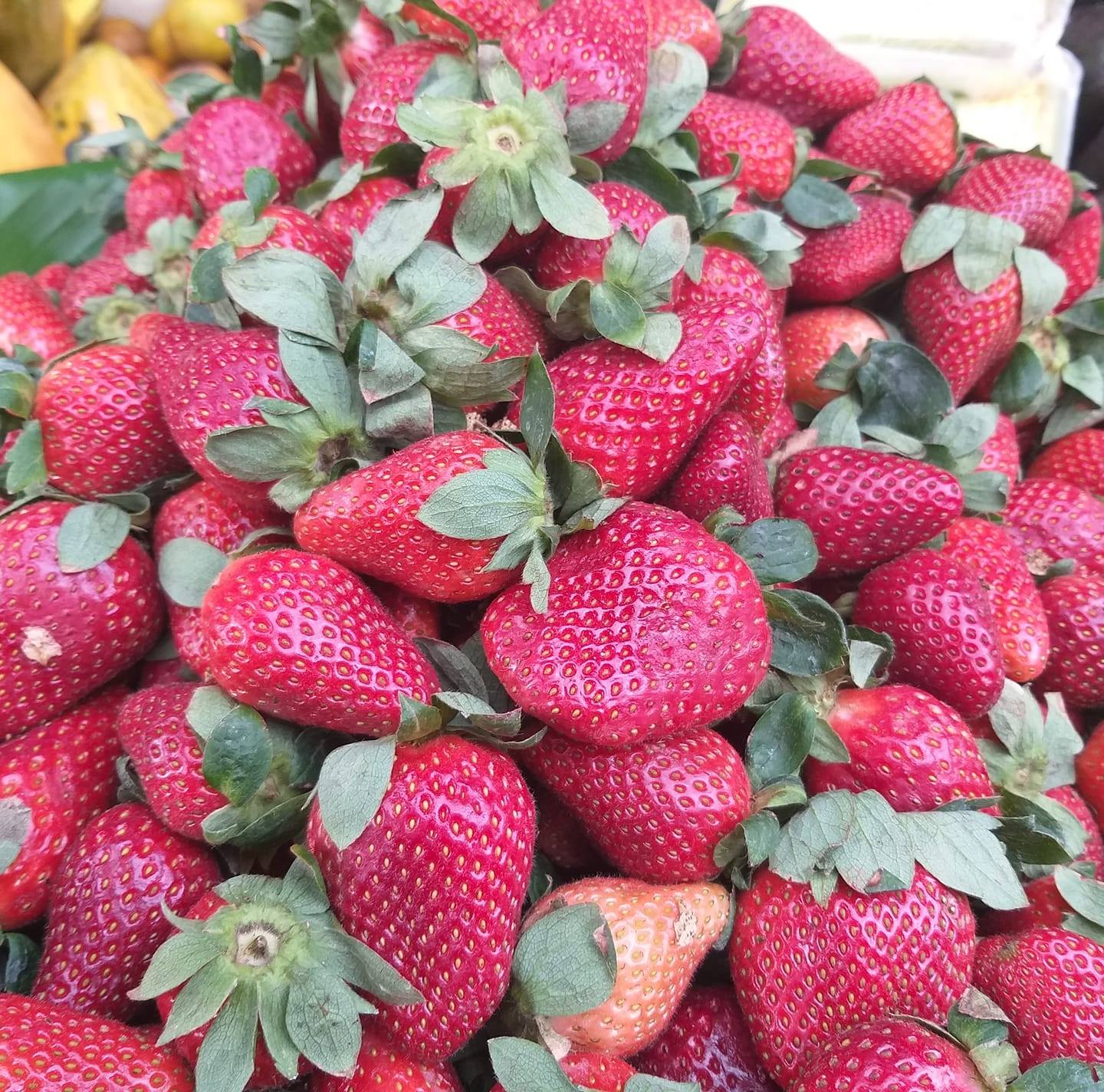 Frutas y verduras filipense; 4;13