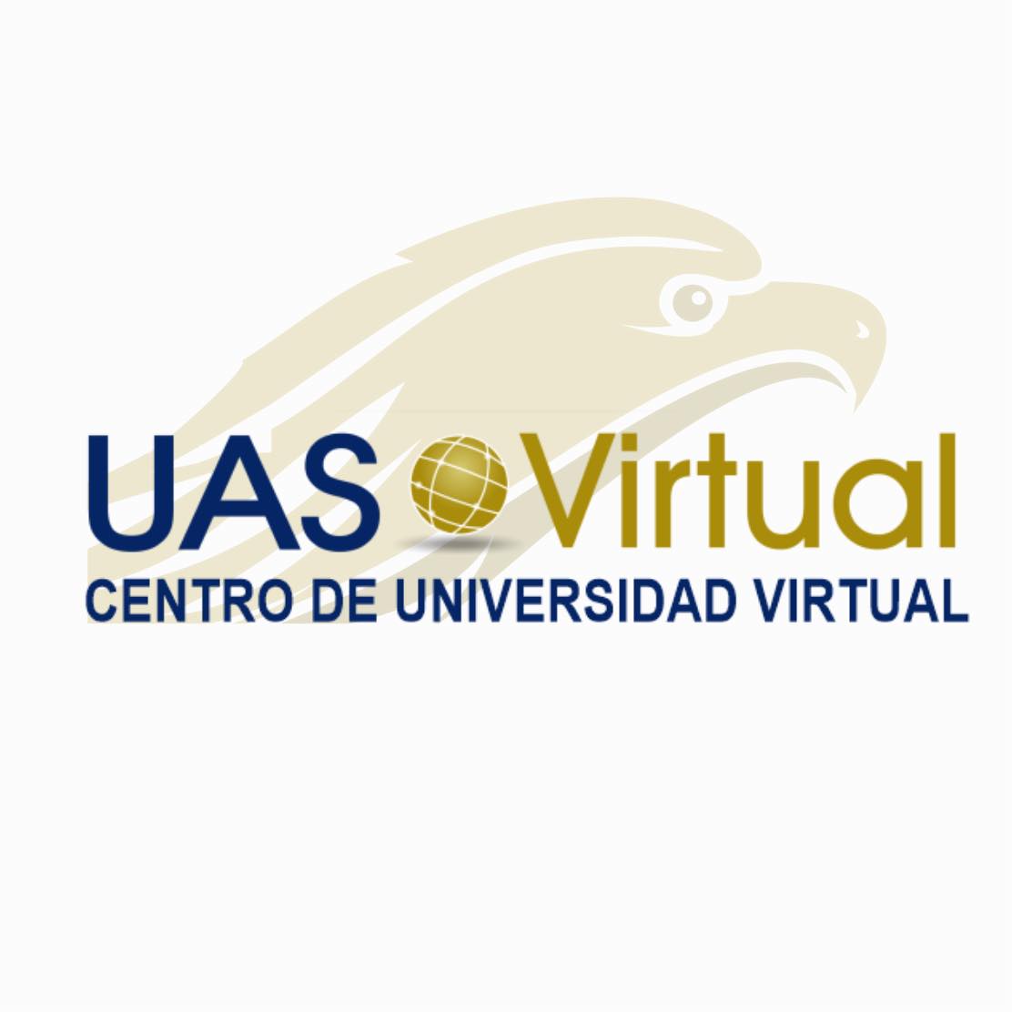 UAS Virtual