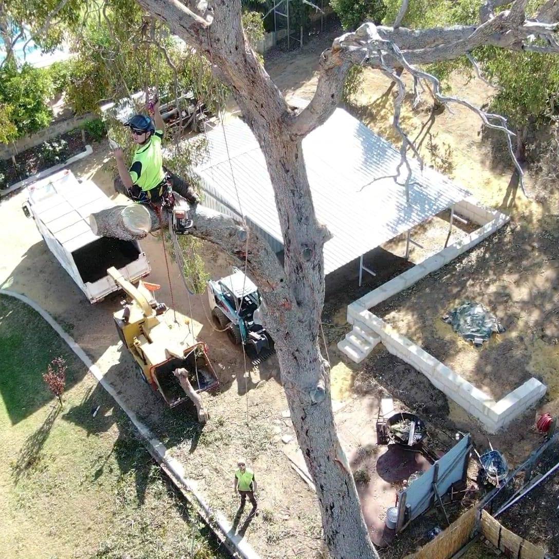 Associated Tree Services | Cardup WA