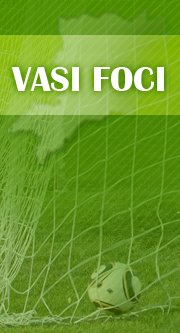 Profile for Vasi Foci