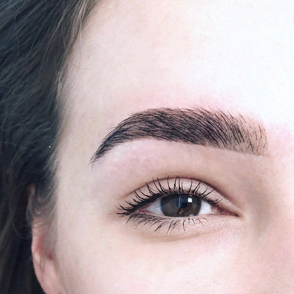 Brow.Chief