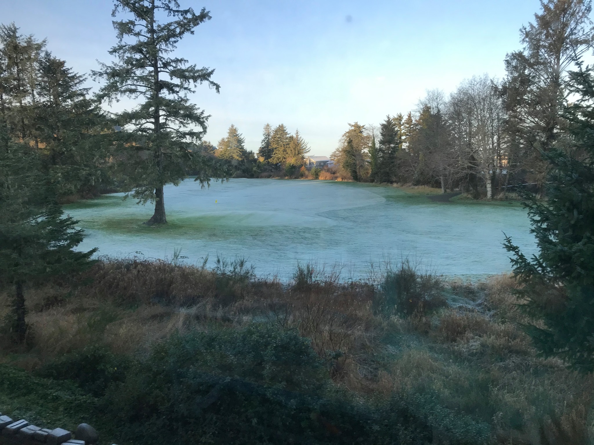 Clatsop County Rants, Raves, & Recommendations | RAVE! Filo and his ...