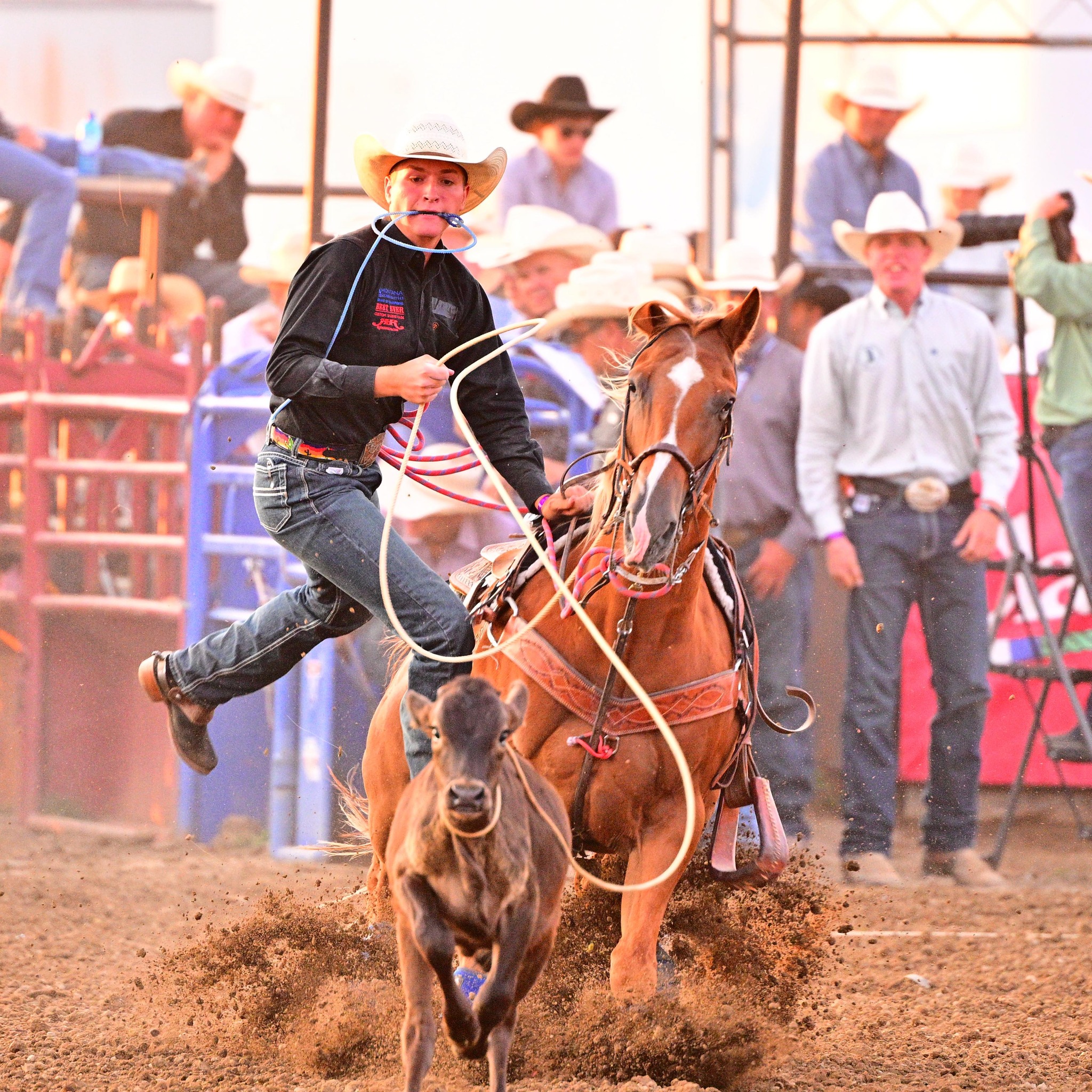 Corriente Connection | What’s the going rate to lease roping cattle per ...