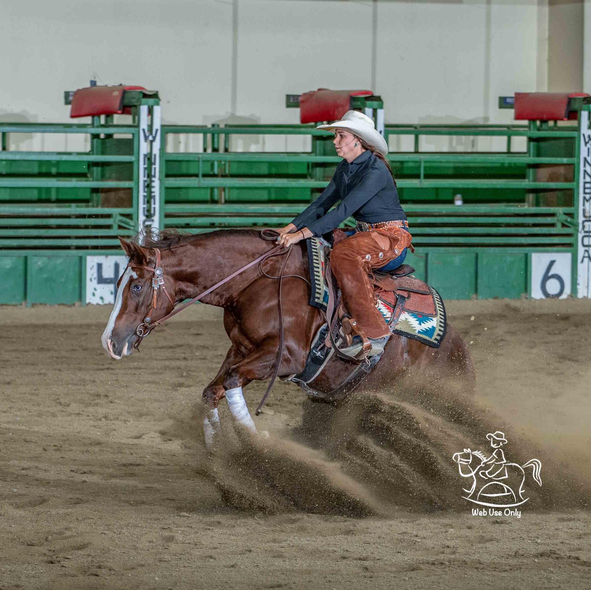 Cutting Horses and Prospects | Facebook