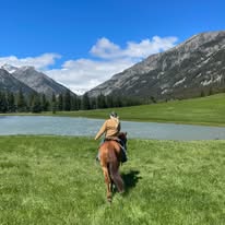 Rope Horse, Rodeo Horses, and Ranch Horses | Panel N/N via parentage ...