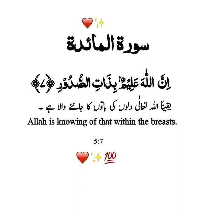 biwiorshohar-motivation-ghat-biwikadukh-nicehusband-kashif