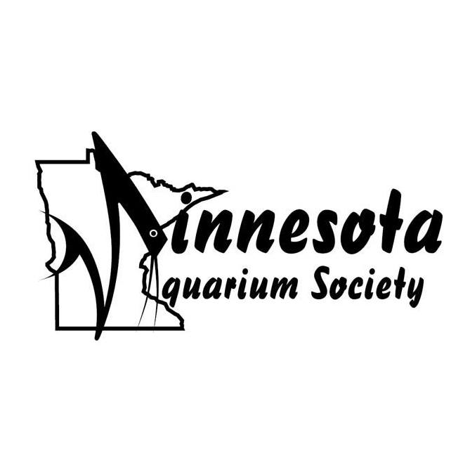 Curated visual reference: Goldfish Aquarium Decorations For Community Tanks Reference: Community Tank No Decorations Or Gravel Keeping It Simple Minnesota