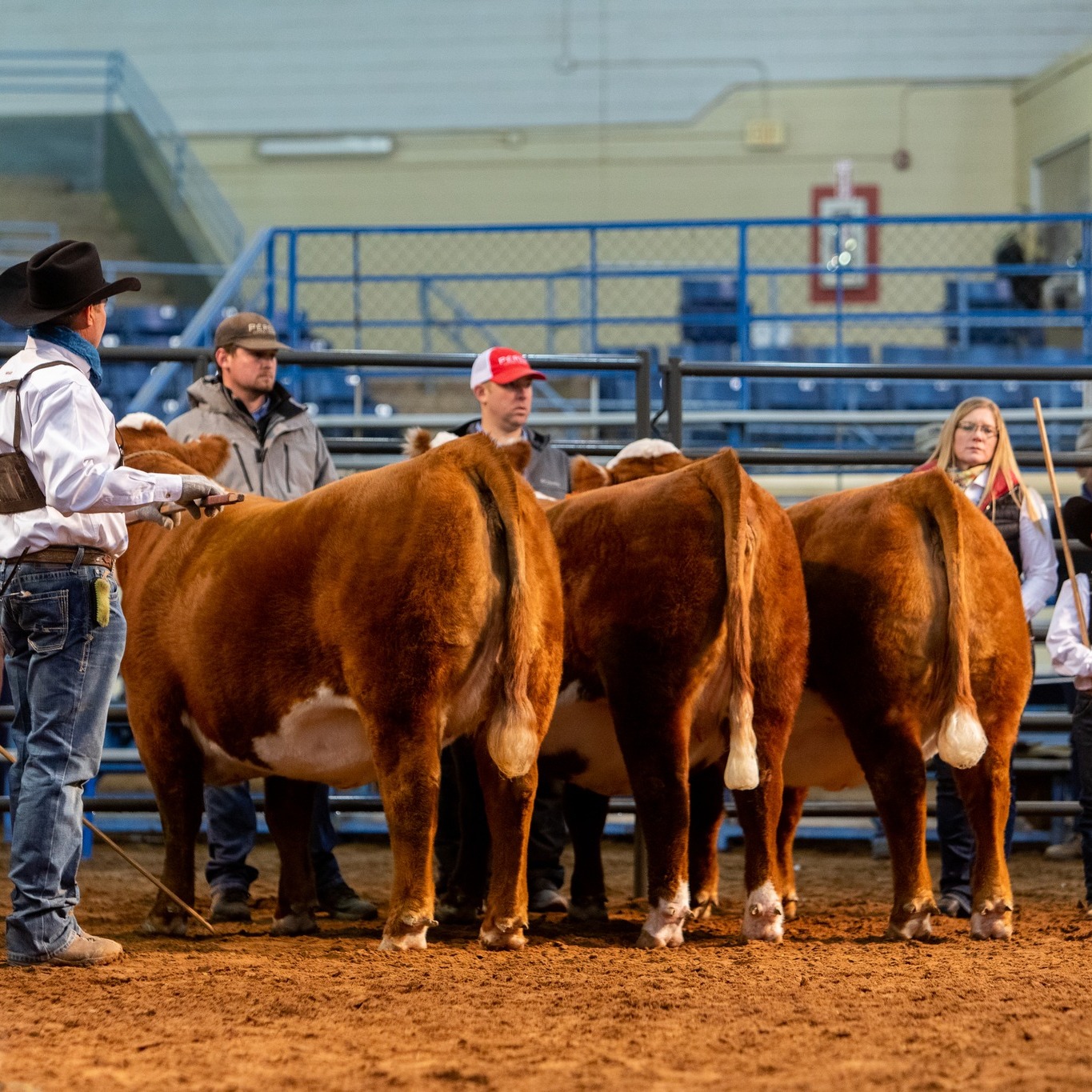 CalfRoping.com - The PRCA ProRodeo calf roping world standings saw some ...