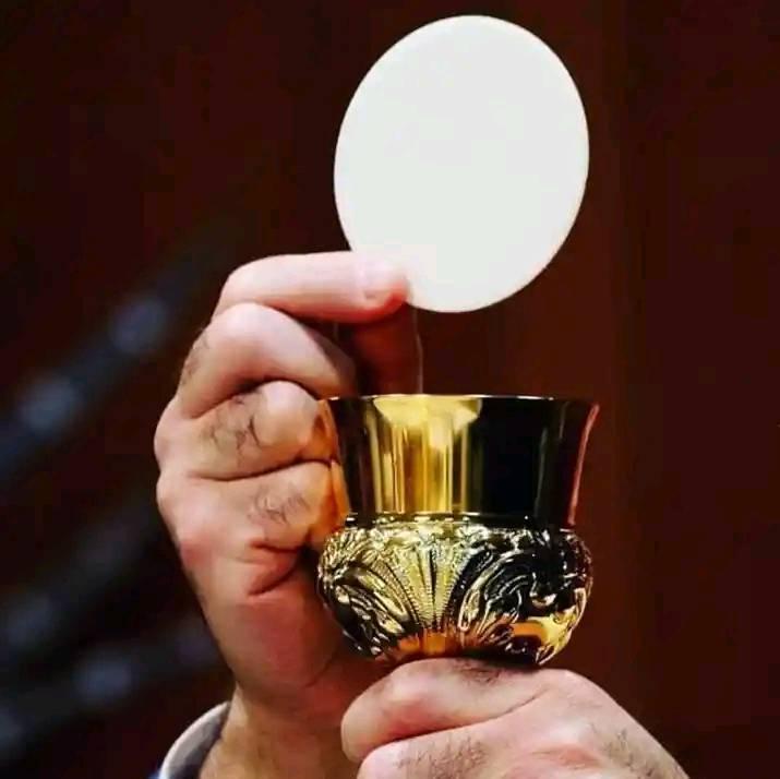 Fr. Anthony S. Agbovi Shepherd DAILY Homily on Reels