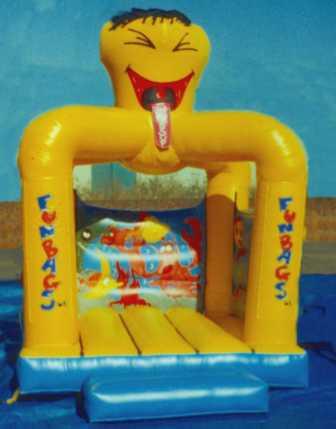 Funbags Bouncy Castle Hire | Birkenhead