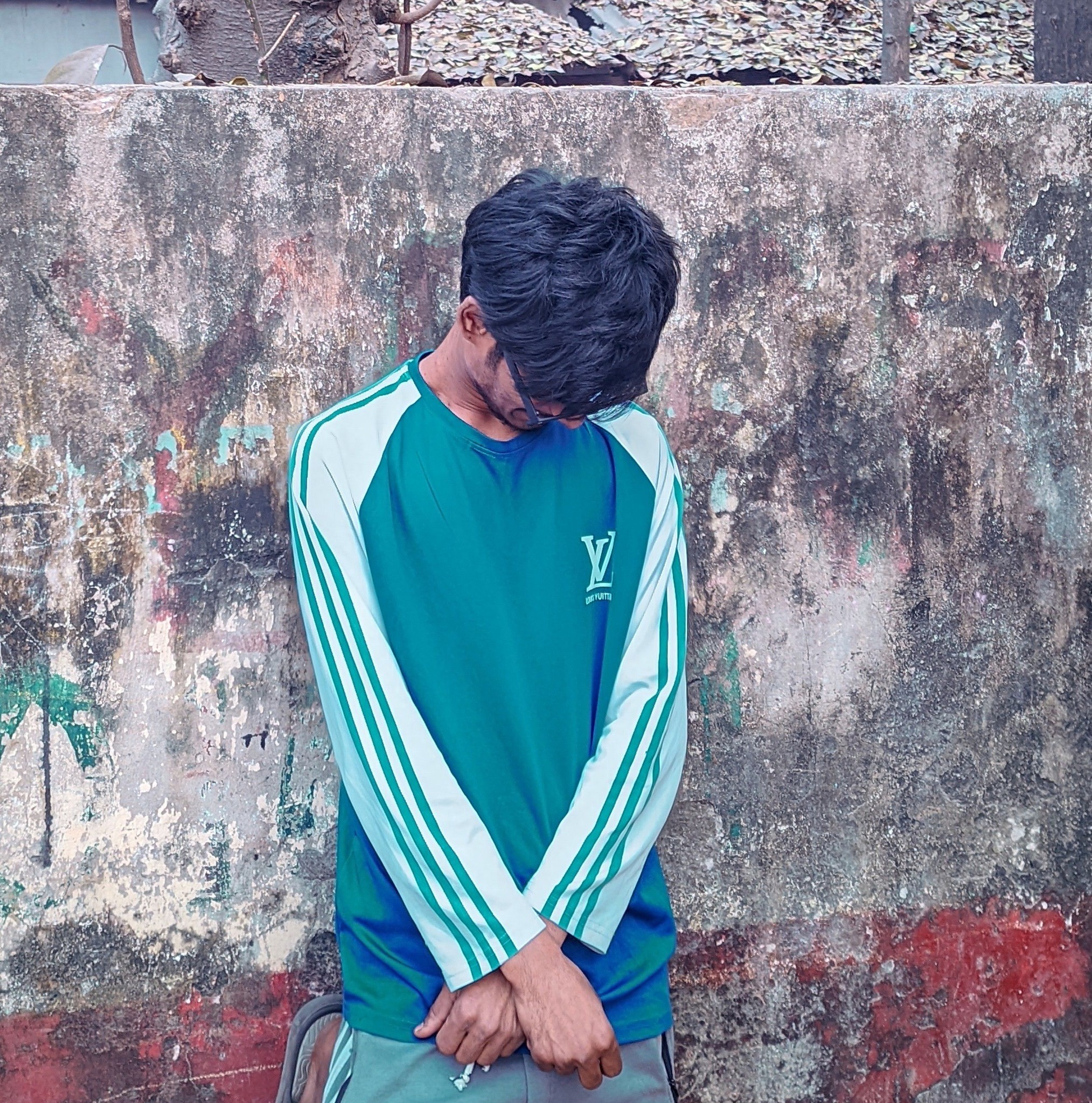 Mohammad Alee Raz Emon