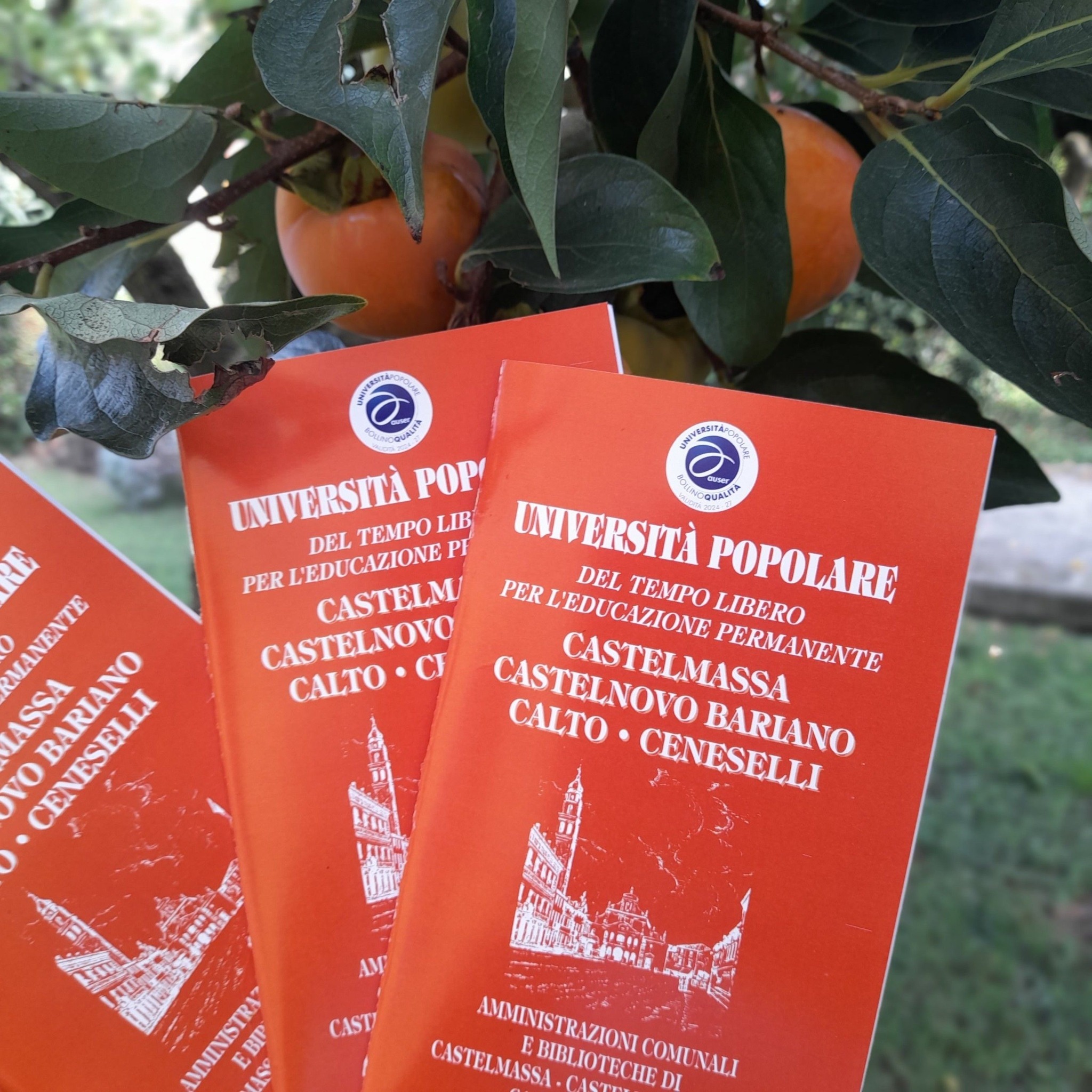 Biblioteca Comunale “E. Fornasari” di Castelmassa | Castelmassa