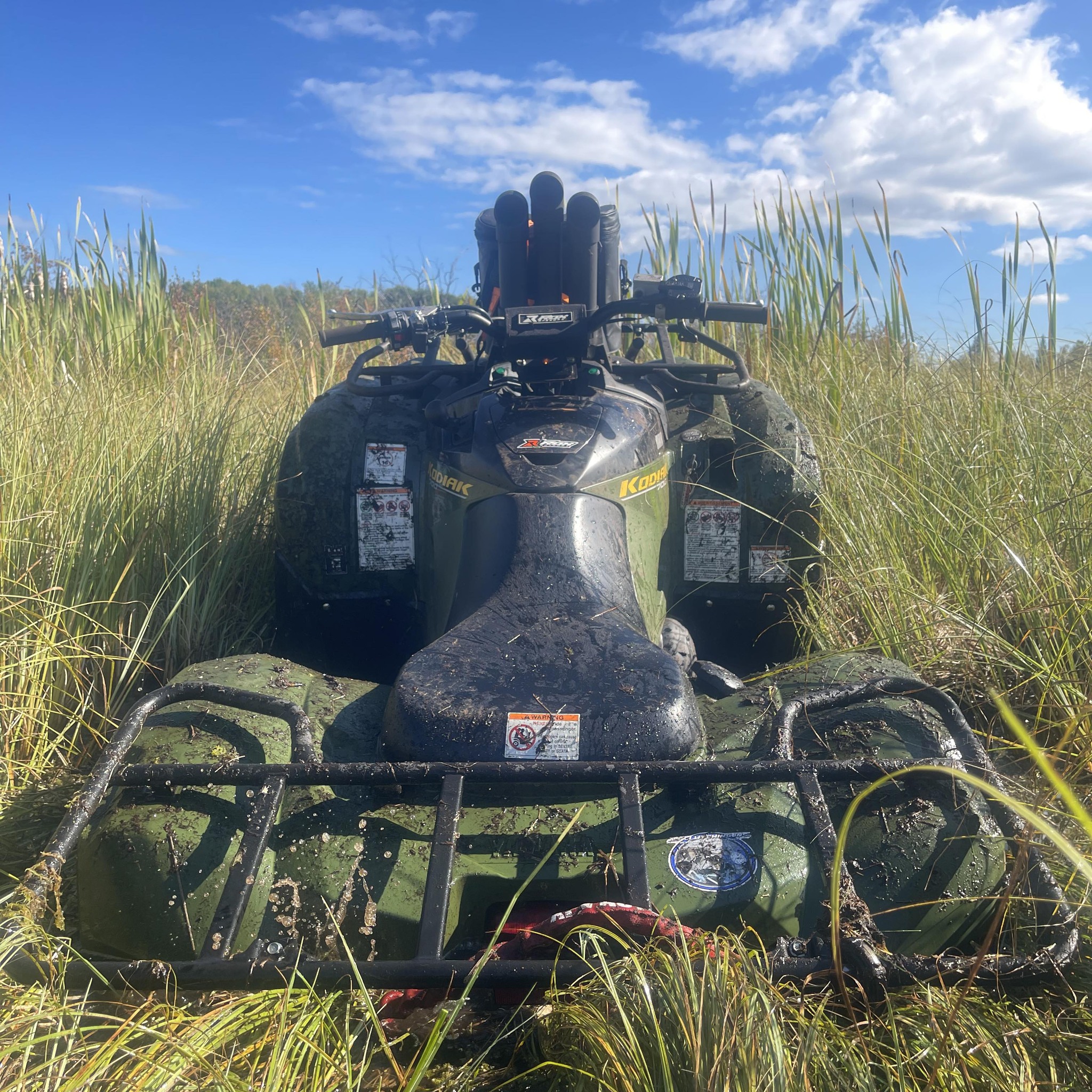 Hi all! I just wanted to introduce myself and share a photo I took ...