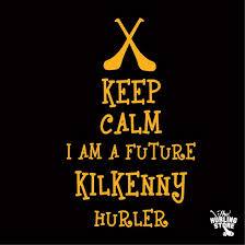 St Martins Juvenile Hurling Club