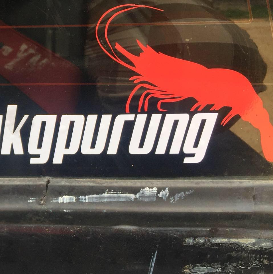 Umpan Udang Kampung Purung | Kemaman