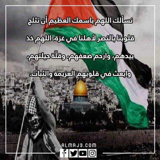 Gaza💔🍉 Donate ️ 🩹 Link in bio 💱🎁 Share 🔁 = $10 for food 🥐 #FollowMe # ...