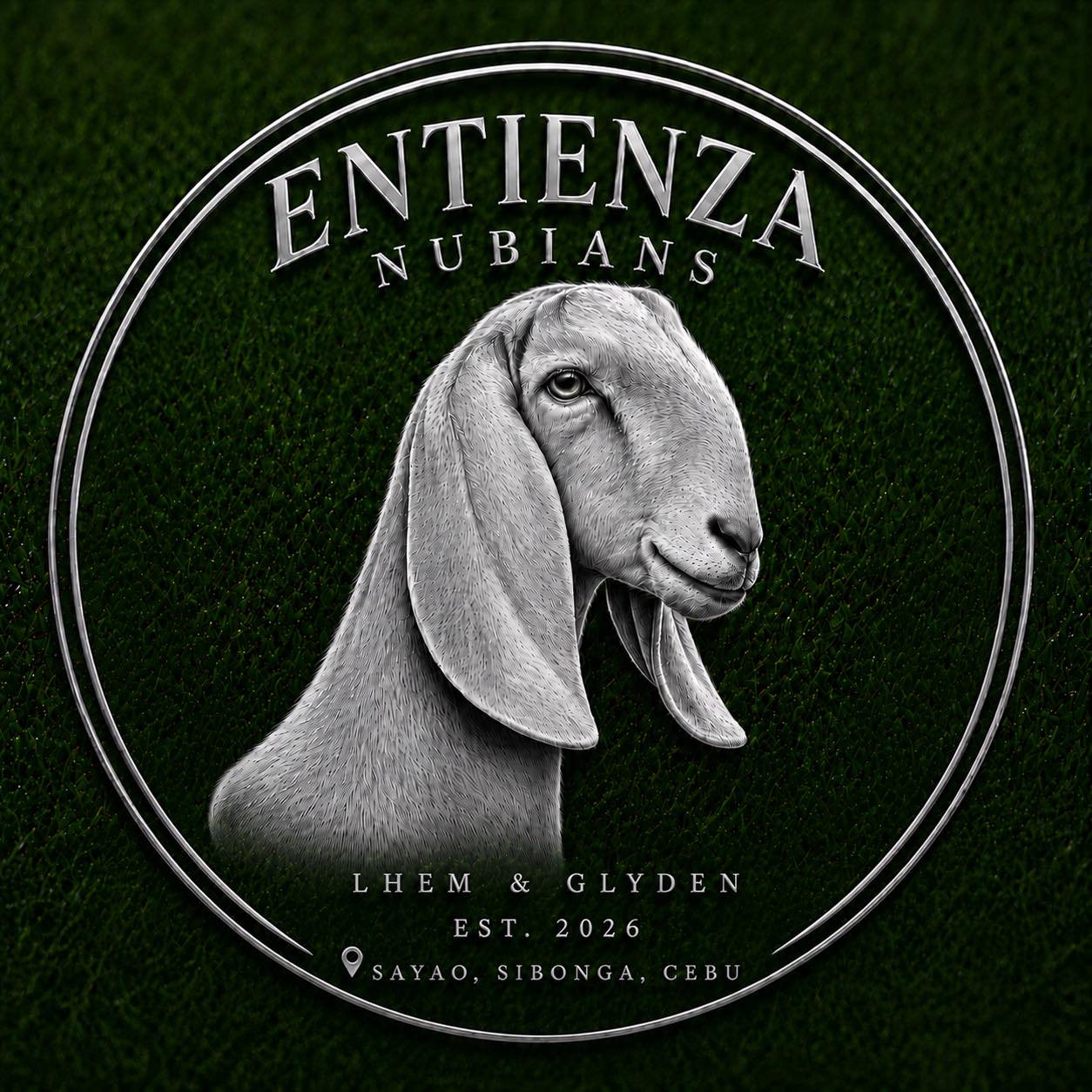 ‼️ FOR SALE ‼️ PUREBRED ANGLO NUBIAN 🐐 BIG DOE FROM BARILI GOAT FARM ...