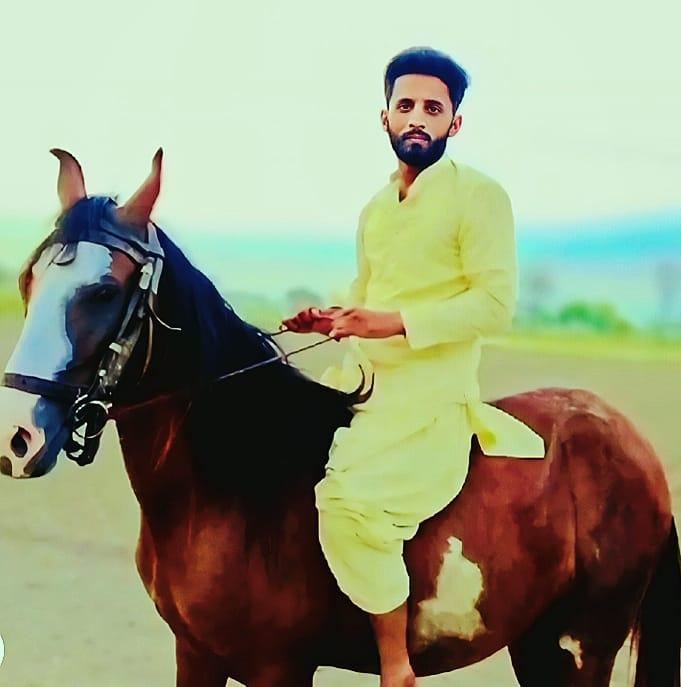 Ali Sher Haidri Sial