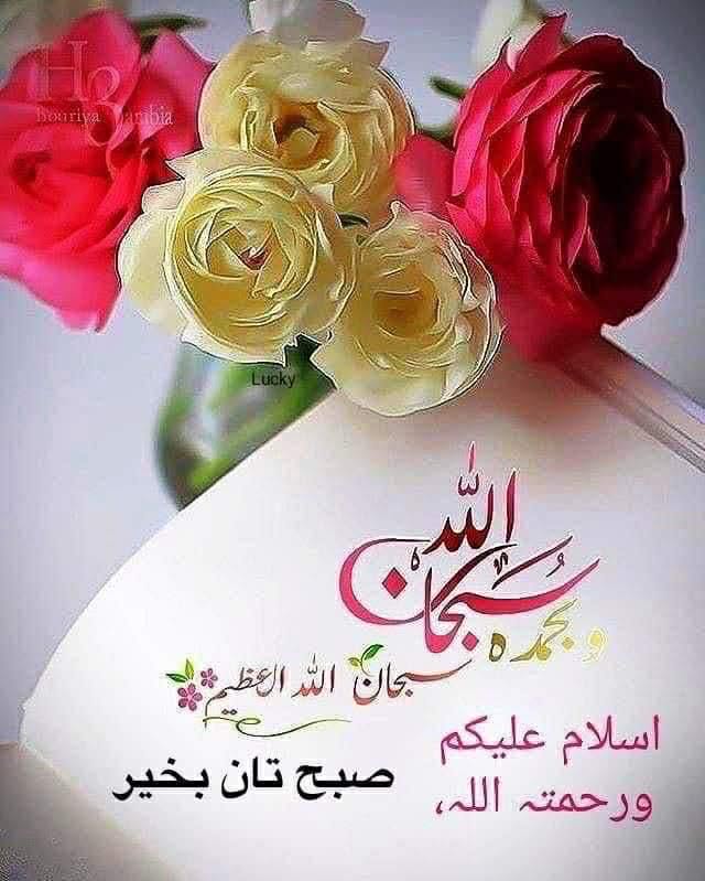 New TikTok Account Syed IrfanHaiderFan's میں قمر بنی ہاشم ہو سنو عباسء ...