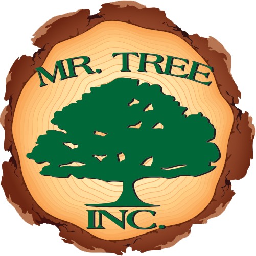 Mr. Tree, Inc. - #MrTree offers commercial logging services for the ...
