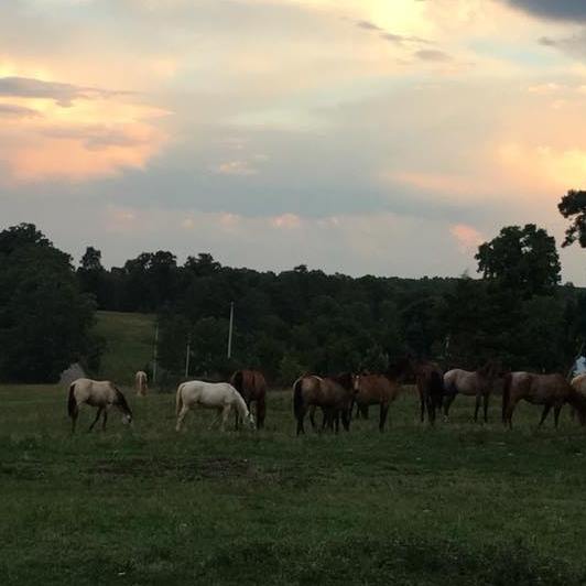 Cain Ranch