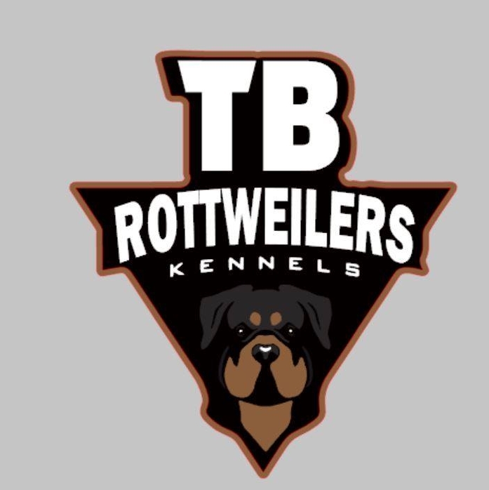 Tb Rottweilers