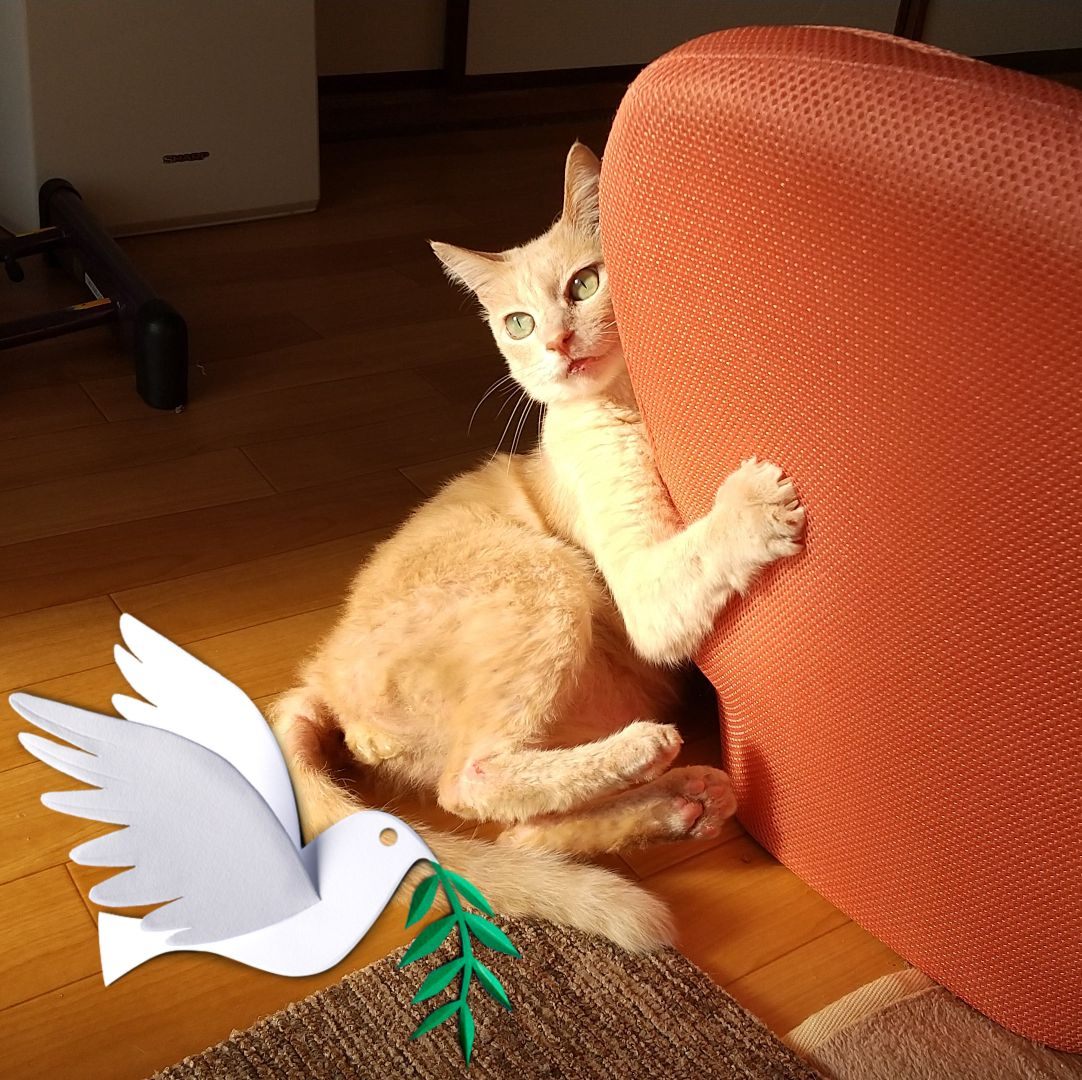 サビコいろいろ(=^x^=) | Facebook