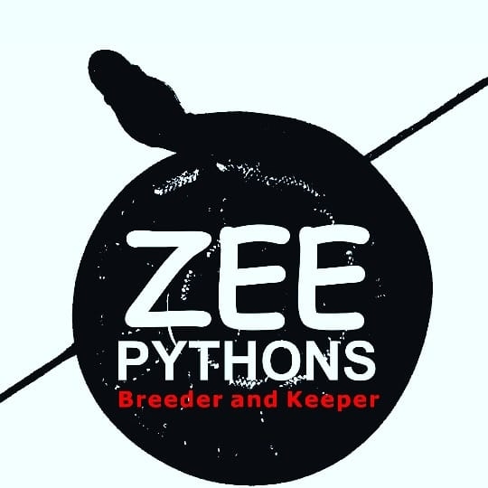 Zee python | Semarang