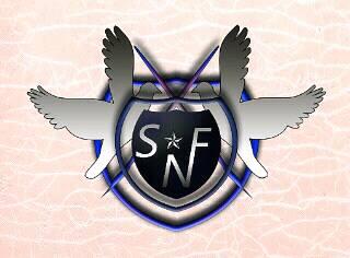 SNF graphics